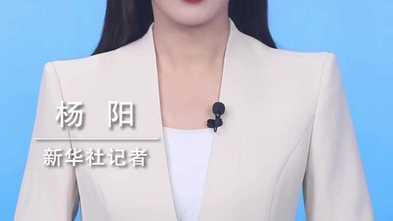 企业数字化落地咨询公司排名